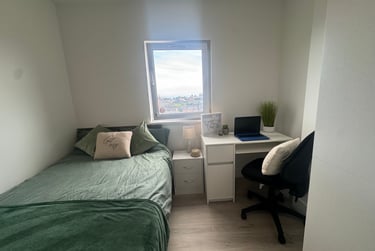 1 bed studio, St Helens Road, Mount Pleasant, Swansea, SA14DQ - Image 3