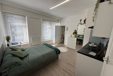 1 bed studio, Bryn Road, Brynmill, Swansea, SA20AR - Image 6