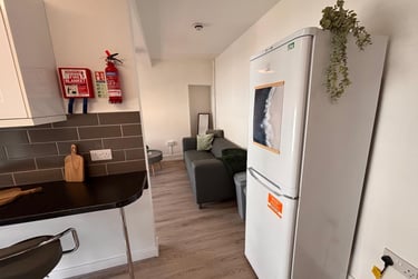 3 bed flat, Bryn Road, Brynmill, Swansea, SA20AR - Image 4