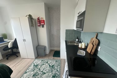 1 bed studio, St Helens Road, Mount Pleasant, Swansea, SA14DQ - Image 4