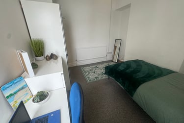 2 bed flat, Finsbury Terrace, Brynmill, Swansea, SA20AH - Image 10