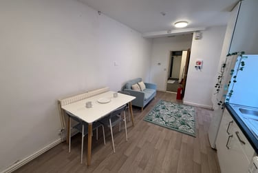 3 bed flat, Bryn Road, Brynmill, Swansea, SA20AR - Image 5