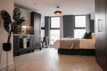 1 bed studio, Hanley Street, Aston, Birmingham, B193SP - Image 3