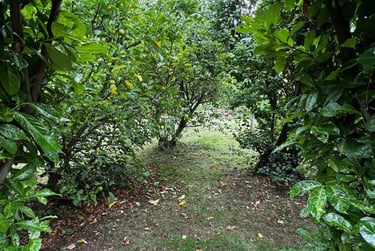 4 bed house, Sixth Avenue, Tang Hall, York, YO310UT - Image 12