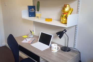 7 bed house, Hull Road, York, YO105HA - Image 4