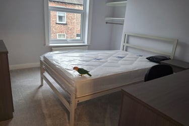 2 bed house, Nelson Street, The Groves, York, YO318NJ - Image 5