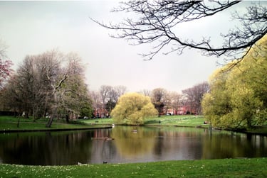 6 bed house, Beechbank Road, Sefton Park, Liverpool, L181HT - Image 7