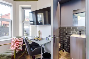 1 bed studio, Consort Terrace, Woodhouse, Leeds, LS31ET - Image 5