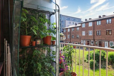 3 bed house, St. Georges Close, Netherthorpe, Sheffield, S37HL - Image 1