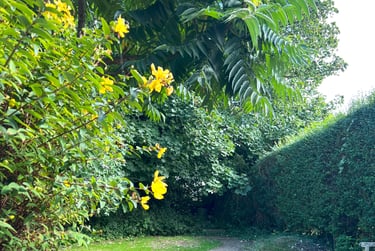 4 bed house, Nyetimber Hill, Bevendean, Brighton, BN24TL - Image 13