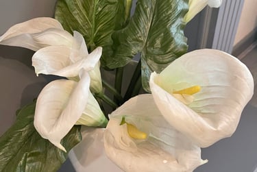 2 bed house, Sedley street, Anfield, Liverpool, L65AF - Image 8