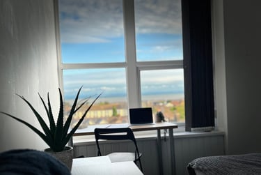 4 bed flat, 17 Woodlands Terrace, City centre, Swansea, SA16BR - Image 3