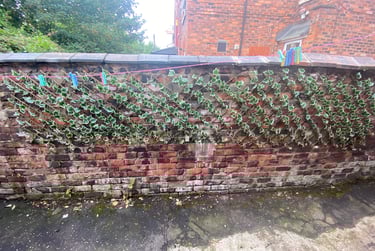 5 bed house, Brailsford Road, Fallowfield, Manchester, M146PU - Image 14