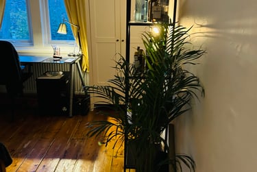 6 bed house, Derby road, Fallowfield, Manchester, M146UX - Image 11