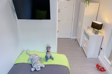 6 bed house, Saxony Road, Low Hill, Liverpool, L78RU - Image 6