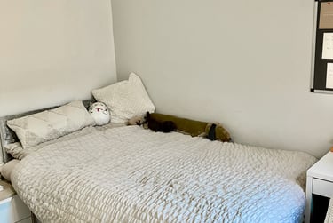 3 bed house, Renfrew Street, Low Hill, Liverpool, L78RB - Image 3