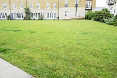 2 bed house, Bishopfields Drive, Central, York, YO264WN - Image 10