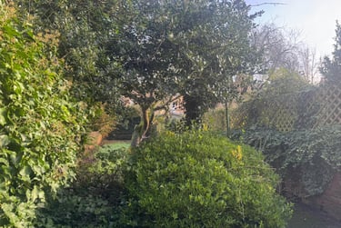 6 bed house, Belle vue street, Heslington, York, YO105AY - Image 15