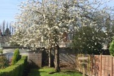 6 bed house, Gristhorpe Road, Selly Oak, Birmingham, B297SL - Image 11