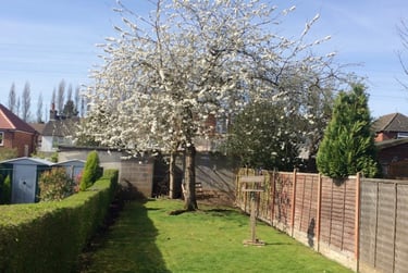 6 bed house, Gristhorpe Road, Selly Oak, Birmingham, B297SW - Image 10