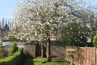 6 bed house, Gristhorpe Road, Selly Oak, Birmingham, B297SL - Image 13