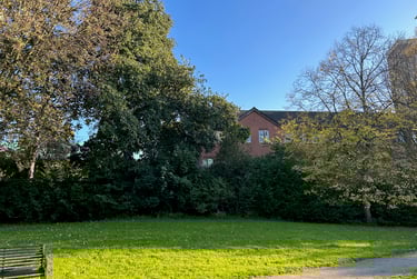 4 bed house, Denison Street, Radford, Nottingham, NG73PH - Image 5