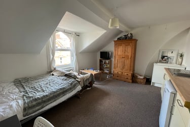 7 bed house, Raleigh Road, St Leonards, Exeter, EX11TQ - Image 8