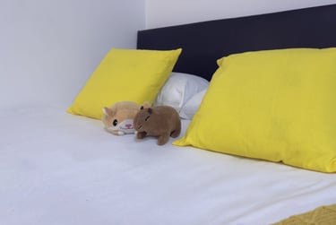 1 bed studio, Westbourne Road, City Centre, Lancaster, LA15DB - Image 12