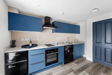 1 bed flat, North Hill, Greenbank, Plymouth, PL48JT - Image 3