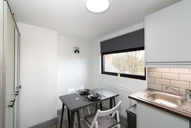 1 bed studio, Uttoxeter Old Road, California, Derby, DE11NF - Image 10