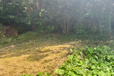 8 bed house, Newbridge rd, Weston, Bath, BA13HG - Image 15