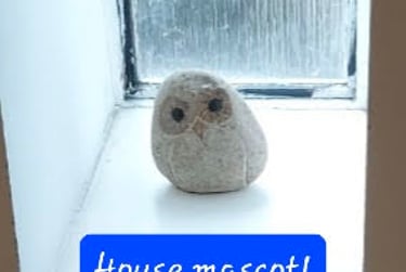 7 bed house, Top of Lisson Grove, Mutley, Plymouth, PL47DN - Image 14