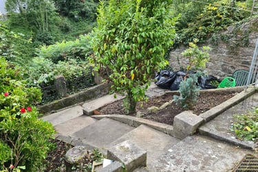 7 bed house, Top of Lisson Grove, Mutley, Plymouth, PL47DN - Image 8