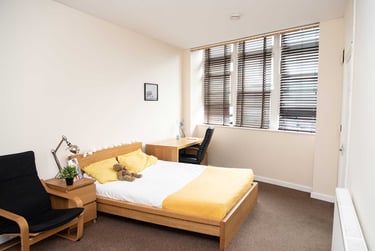 1 bed studio, 14 Furze Hill Road, Mutley plain, Plymouth, PL47JY - Image 5