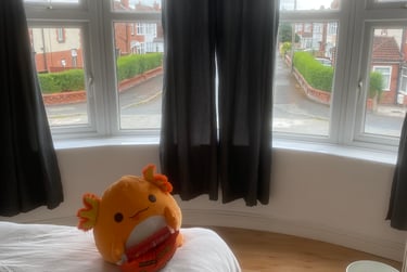 6 bed house, Birchington Road, Withington, Manchester, M146BY - Image 12