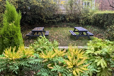 10 bed house, Wellington road, Fallowfield, Manchester, M146BH - Image 15