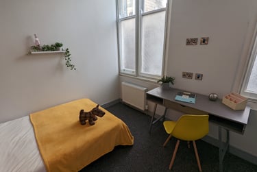 3 bed flat, Bowling Green Street, City Centre, Leicester, LE16AS - Image 10