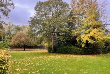 1 bed flat, Upper Park Road, Victoria park, Manchester, M145RJ - Image 2