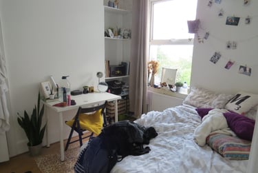 6 bed house, White street, City centre, Brighton, BN20JH - Image 8