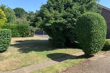 6 bed house, Uplands, Near university, Canterbury, CT27BL - Image 2