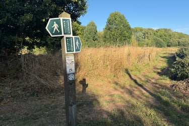 3 bed house, Chapel Road, Pennsylvania, Exeter, EX55HG - Image 15