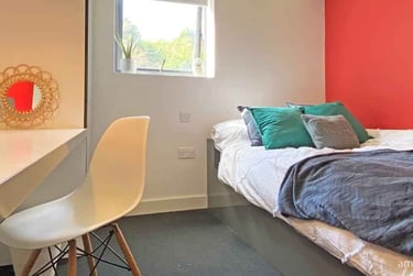 Studio Plus - Image 1