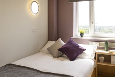 Silver Plus - Image 1