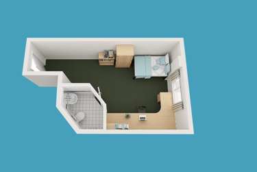 Silver Plus - Image 5