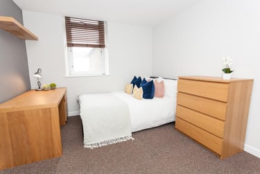 7 bed house, Bedford Street, Plasnewydd, Cardiff, CF243DB - Image 6