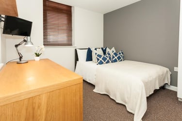 7 bed house, Bedford Street, Plasnewydd, Cardiff, CF243DB - Image 7