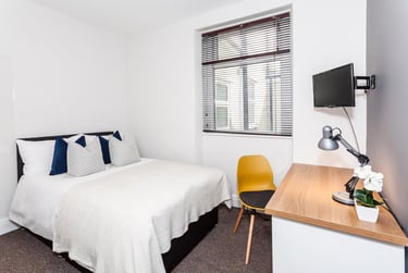 7 bed house, St Peters Street, Plasnewydd, Cardiff, CF243BA - Image 4