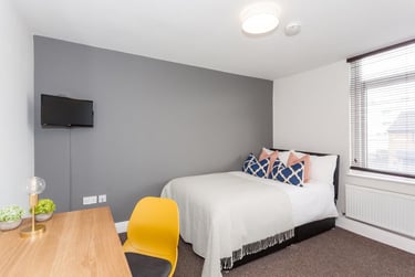 7 bed house, St Peters Street, Plasnewydd, Cardiff, CF243BA - Image 7