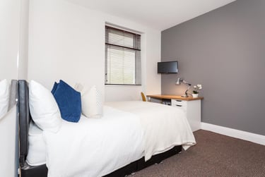 7 bed house, St Peters Street, Plasnewydd, Cardiff, CF243BA - Image 3