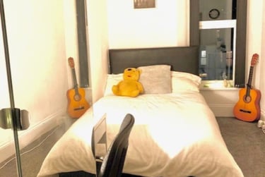 6 bed house, 66 Alexandra Road (students), Plymouth, PL47JT - Image 9